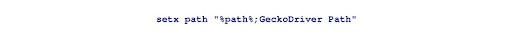 selenium basics