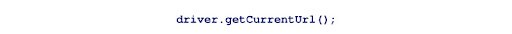selenium basics